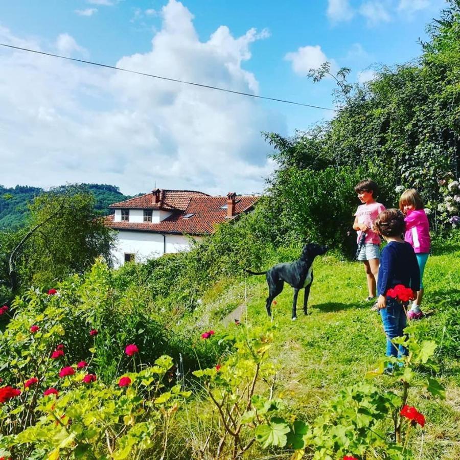 La Asturxana Konuk evi Malleza Dış mekan fotoğraf